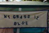 Blue----grass