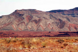 Valley-of-the-Gods-01-Navajo Blanket Hills.jpg