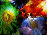 Floral and sea forms in glass<br />7747.jpg