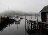 Morning fog lifts at Sandy Cove