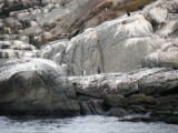 DSCN0894.JPG