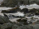 DSCN1014.JPG
