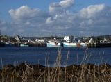 Sambro Harbor