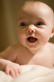 IMG_5205-v2.jpg