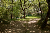 AMC_DP1_080527_4182.jpg