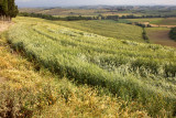 AMC_DP1_080530_4763.jpg