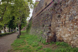 AMC_DP1_080520_2816.jpg