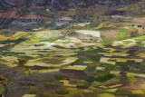 Agriculture in the High Andes