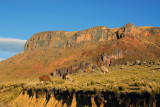 Llamas with a big red cliff