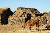 In Africa, I'd call it a kraal...here, choza