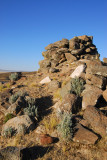 Sillustani