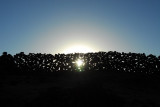 Late afternoon sun behind a dry stone wall, Sillustani