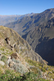 Getting to the deep section, Colca Canyon