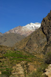 Snowy peak, Valle del Colca