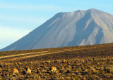 Volcan Misti (5825m)