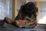 Mummy in the museum at Chauchilla