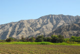 Agriculture in the Rio Grande valley near Palpa