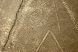 The Spider - Nazca Lines