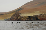 Paracas Peninsula and Bay