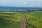 Crossing the Hana Highway while climbing out over the sugar cane fields of Mauis central valley