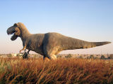 Tyrannasaurus Rex, Dubailand Sales Center