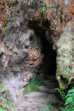 Entrance to Aranui Cave