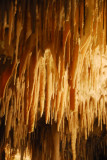 Aranui Cave, Waitomo