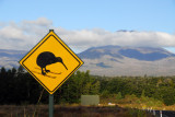 Kiwi crossing sign modified with skis, Highway 47 east