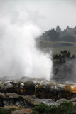 Pohutu geyser, Whakarewarewa, Rotorua