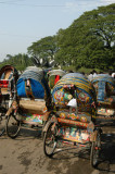 Rickshaws near the old Ramna Gate