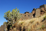 Qallaqasa - the Citadel of Pisaq