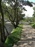 My Way