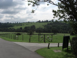 Dovedale & Sheep