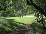 The Resting Area