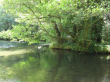 Still Water