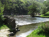 Open Water