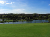 Blue sky & Green Grass