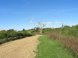 Empty Midlands