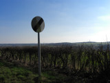 Barrowden 0374