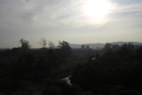 Greyish am