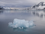 Spitsbergen, Svalbard