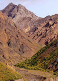 Canyon Trail