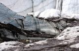 Matanuska Glacier