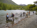 Fish Cleaning Station