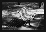 Lonely bench