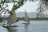River Nile; Feloeka