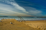 Dee Why beach with gulls
