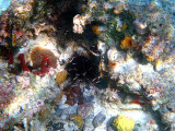 IMG_1152.JPG