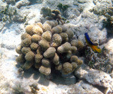 IMG_1219.JPG