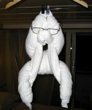 towel monkey